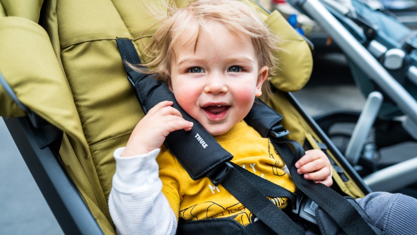 thule urban glide 3 - most kids find the thule a cozy place to see the world.