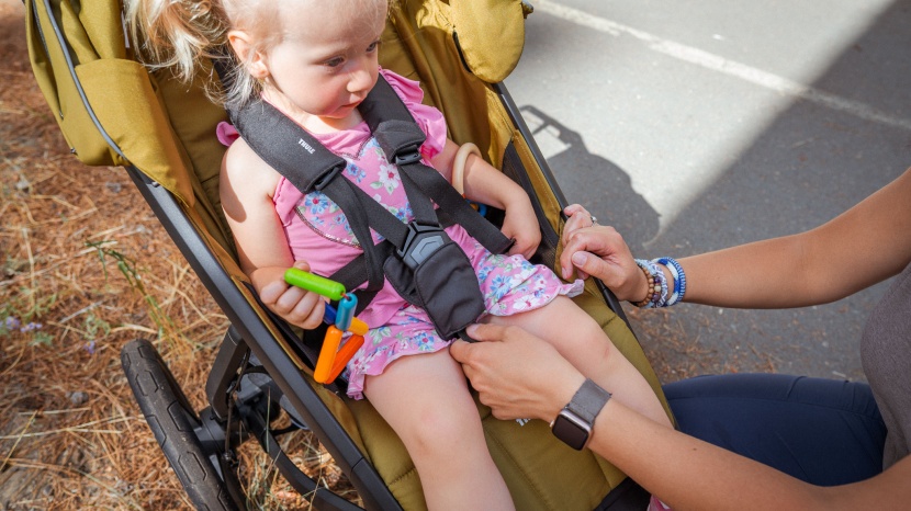 thule urban glide 3 - the softer webbing of the harness and the included shoulder and...