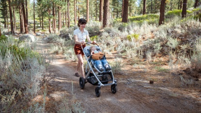 Product photo of UPPAbaby Vista v3