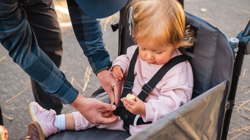 radio flyer city luxe stroll 'n wagon - the riding area on the radio flyer city luxe is quite basic.
