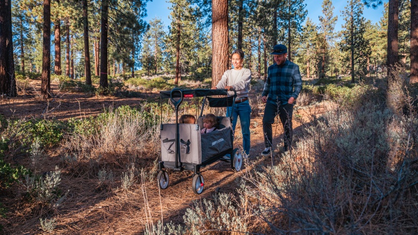 radio flyer city luxe stroll 'n wagon - the radio flyer city luxe is a versatile choice that can meet most...