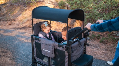 Product photo of Wonderfold Elite Pro Stroller Wagon
