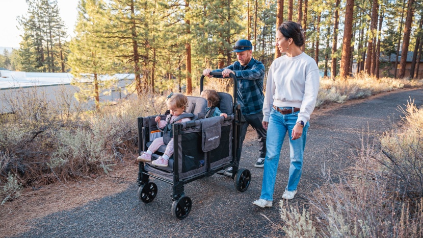 stroller - the wonderfold is a wagon that can pass as a stroller when you need...