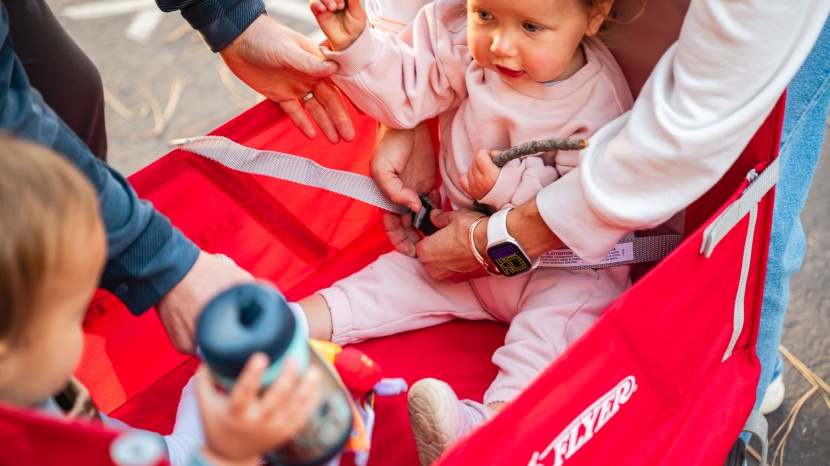 radio flyer 3-in-1 ez fold wagon - the radio flyer 3-in-1 is very basic and doesn't offer much for...
