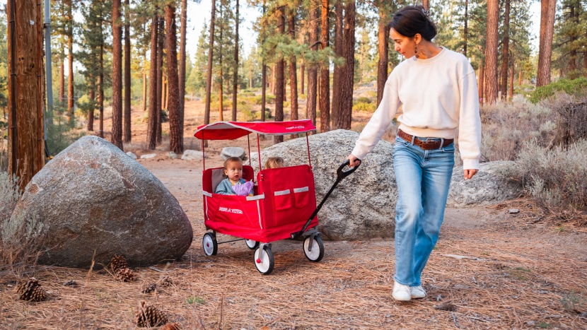 the ez fold wagon lacks brakes and is not one we'd recommend for...