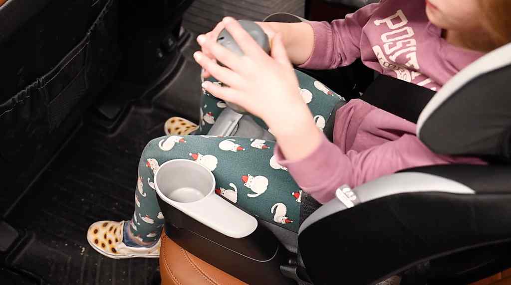 Evenflo Maestro Sport Convertible Booster Car Seat, Forward Facing